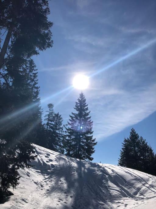 Sonniges Apartment In Seefeld ゼーフェルト・イン・チロル エクステリア 写真