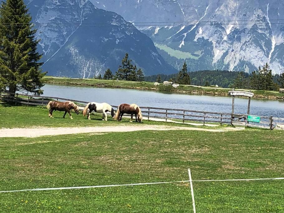 Sonniges Apartment In Seefeld ゼーフェルト・イン・チロル エクステリア 写真