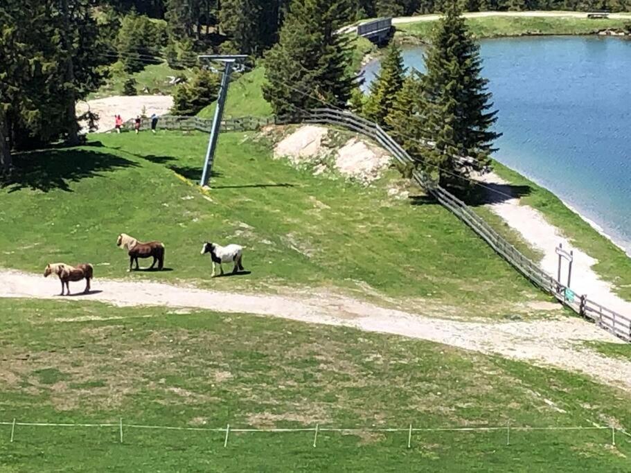 Sonniges Apartment In Seefeld ゼーフェルト・イン・チロル エクステリア 写真
